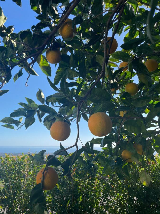 Profumo Di Zagara Villa Fiumefreddo di Sicilia Ngoại thất bức ảnh