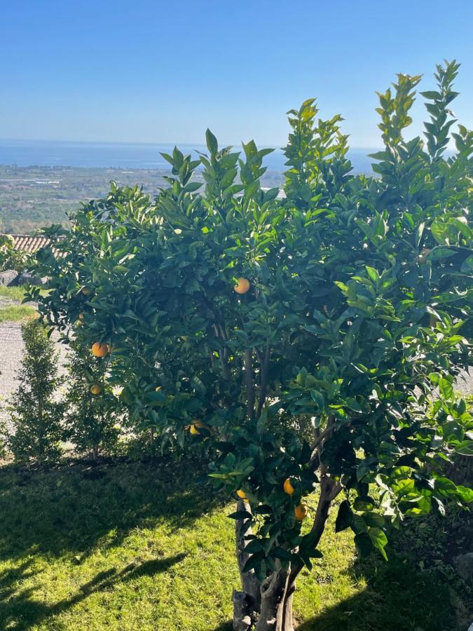 Profumo Di Zagara Villa Fiumefreddo di Sicilia Ngoại thất bức ảnh
